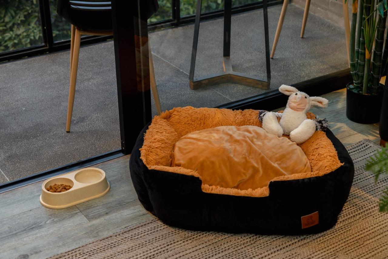Soul Lifestyle Hotel 메딜린 외부 사진
